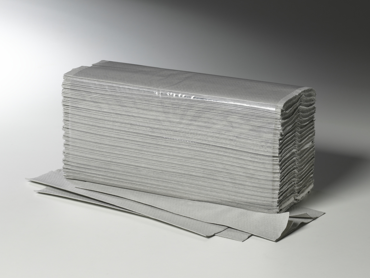 Fripa - Papierhandtücher Plus 1-lagig naturell 25 x 50 cm (20 x 120 Stck.)
