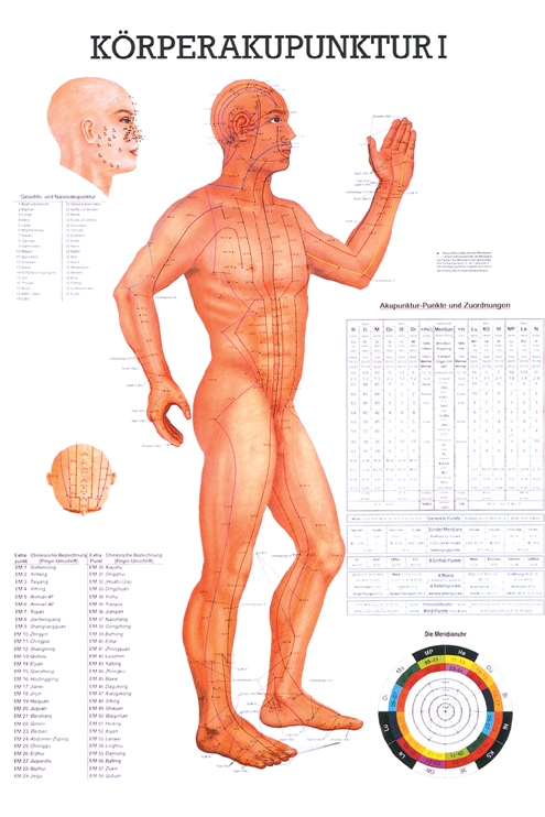 anat. Lehrtafel: Körperakupunktur I, 70 x 100 cm, Papier