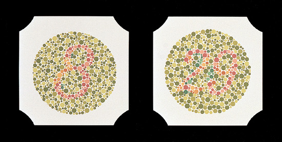 Ishihara Farbtafeln, Buchformat, 24 Tafeln, gebunden