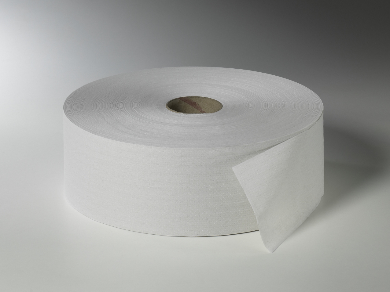 Fripa - Toilettenpapier maxi, 2-lagig 380 m, nicht perforiert (6 Rl.)