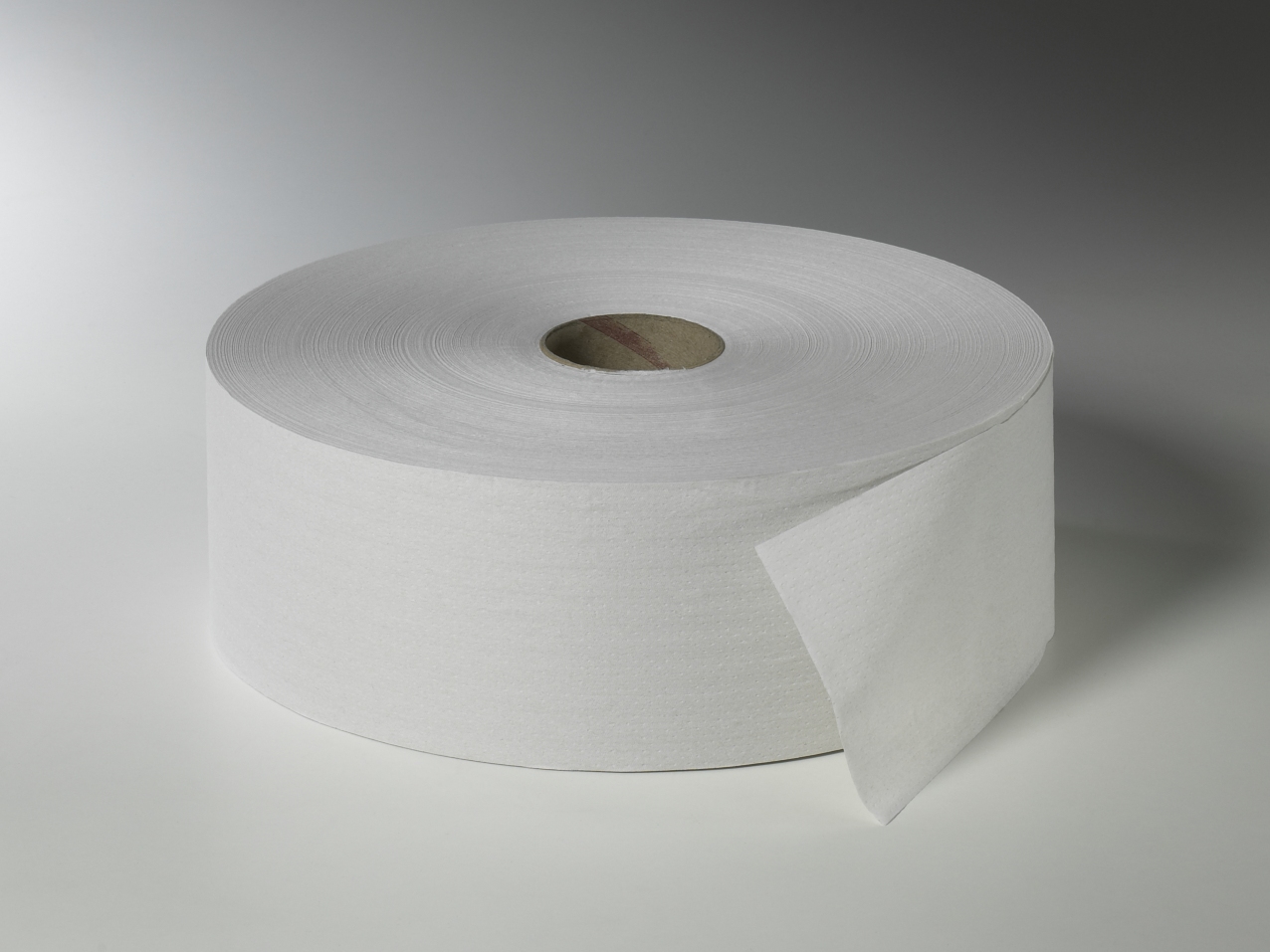Fripa - Toilettenpapier maxi, 2-lagig, 380 m, nicht perforiert (6 Rl.)
