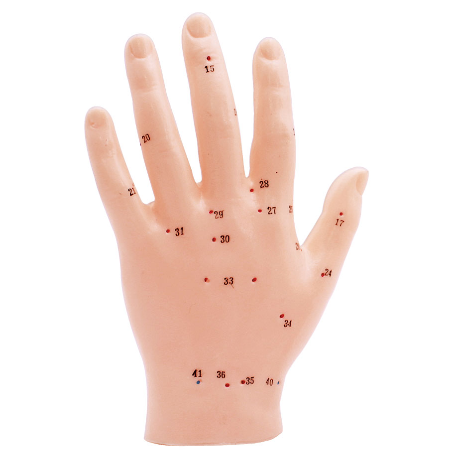 Akupunkturmodell Hand