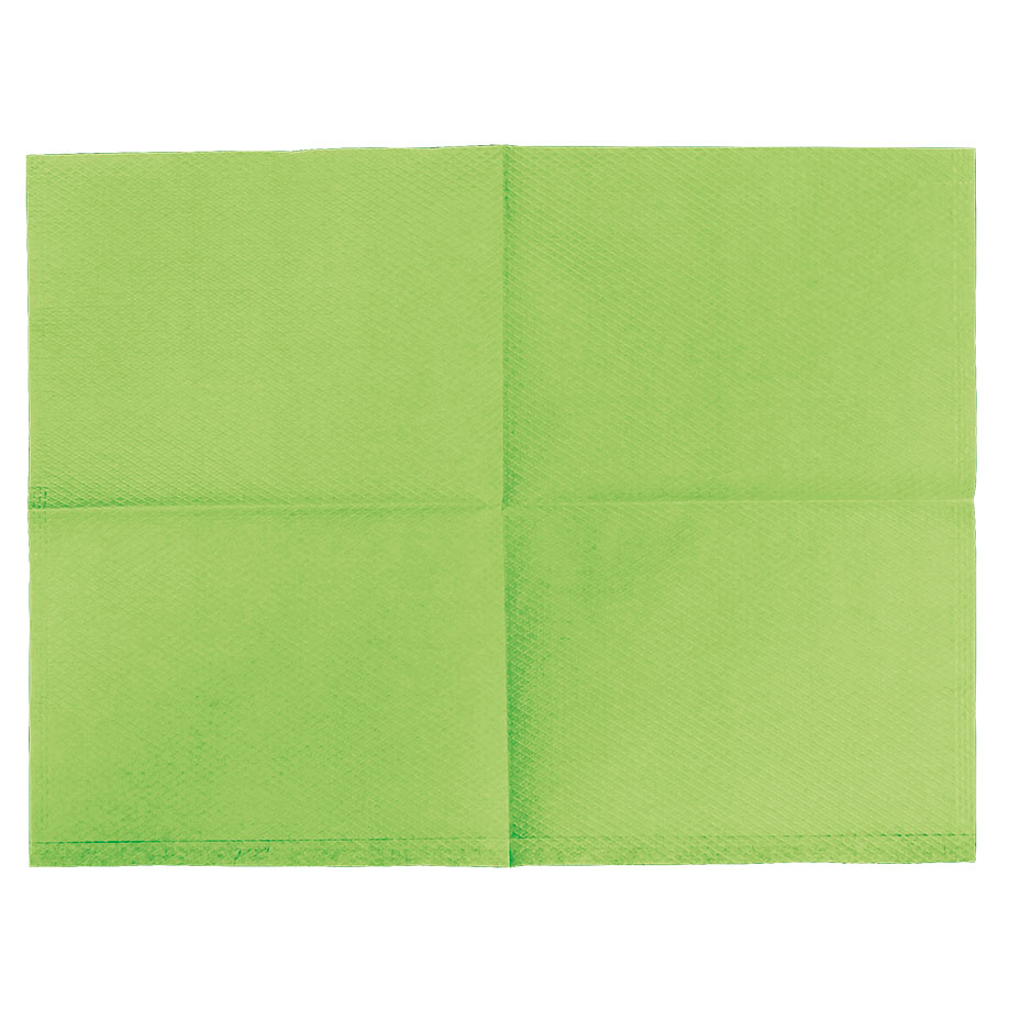 Kopfstützenschoner Tissue/PE, 25 x 33 cm, fresh green (500 Stck.)