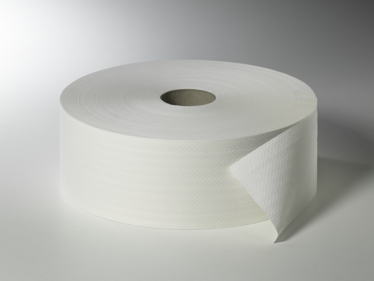 Fripa - Toilettenpapier maxi, 2-lagig 420 m, nicht perforiert (6 Rl.)