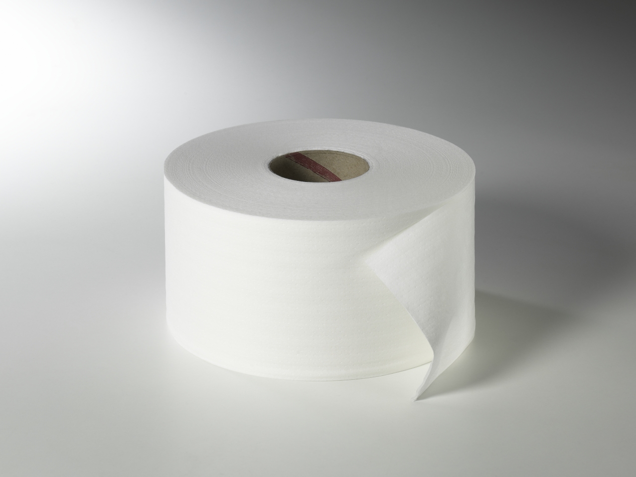 Fripa - Toilettenpapier maxi, 2-lagig 200 m, nicht perforiert (12 Rl.)