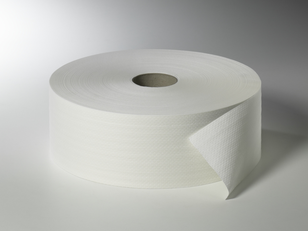 Fripa - Toilettenpapier maxi, 2-lagig, 420 m, nicht perforiert (6 Rl.)