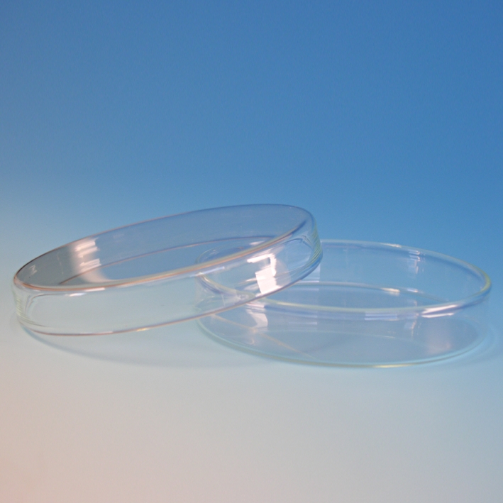 Petridoppelschale Ø 10 x H 2 cm ohne Nocken