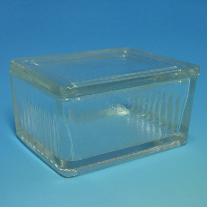 Objektträgerkasten aus Glas, mit Deckel nach Schiefferdecker