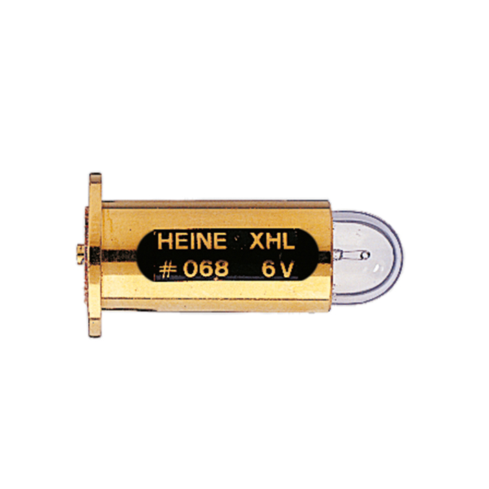 XHL Xenon Halogen Lampe 6 V
