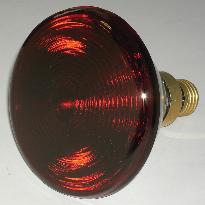 Ersatzlampe 150 W für IR Classic